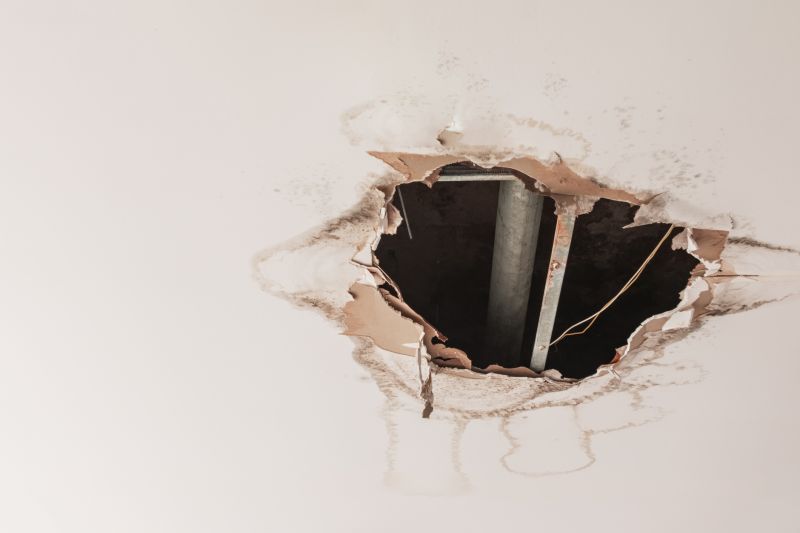 Ceiling Hole Repair